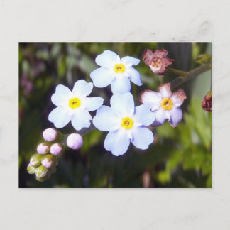 Oubliez-moi les notes 1 carte postale