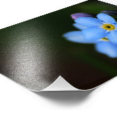 Oubliez-Moi-Nots 10 Photo Impression (Coin)