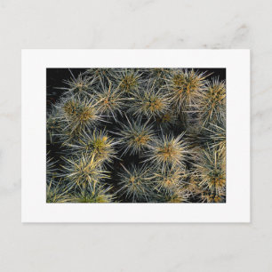 "Ouch Cluster" Briefkaart