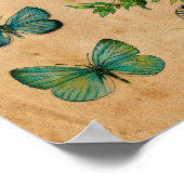 Oud Antiek Collectie Poster (Hoek)