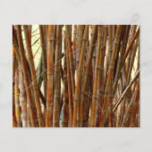 Oud bamboepapier (Voorkant)