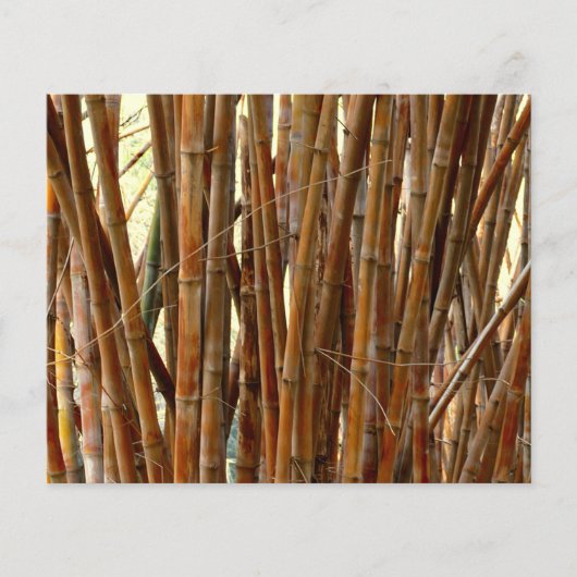 Oud bamboepapier (Voorkant)