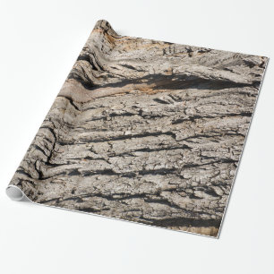 Oud boomstampatroon cadeaupapier