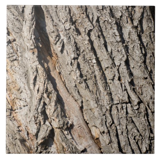 Oud boomstampatroon tegeltje (Voorkant)