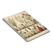 Oud botanisch kruidenreceptenjournaal notitieboek (Rechterzijde)