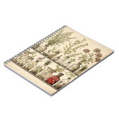 Oud botanisch kruidenreceptenjournaal notitieboek (Linkerzijde)