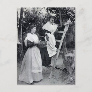 Oud Briefkaart - Arles, Les Arlésiennes