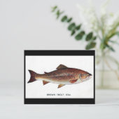 Oud Briefkaart - bruine forel (Staand voorkant)