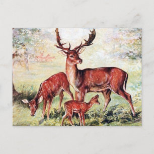 Oud Briefkaart - Deer