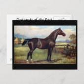 Oud Briefkaart - Engels jager (Voorkant / Achterkant)