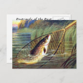 Oud Briefkaart - forel (Voorkant / Achterkant)