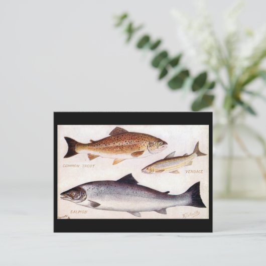 Oud Briefkaart - forel, verkoper en zalm (Staand voorkant)