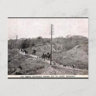 Oud Briefkaart - Noordelijke katoenhunt, Breedweg