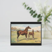 Oud Briefkaart - Paarden (Staand voorkant)