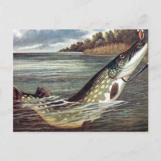 Oud Briefkaart - Pike (Voorkant)