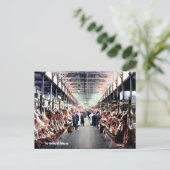 Oud Briefkaart - Saint John, New Brunswick (Staand voorkant)