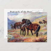 Oud Briefkaart - Shetland Ponies (Voorkant / Achterkant)