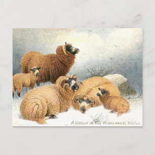 Oud Briefkaart - Winter