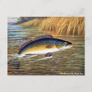 Oud Briefkaart - Zwarte tas