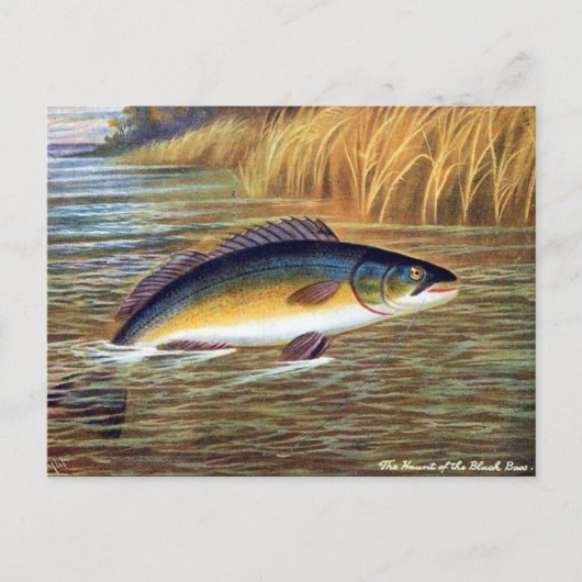 Oud Briefkaart - Zwarte tas (Voorkant)