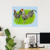 Oud Engels Game Barred Chickens Poster (Thuiskantoor)