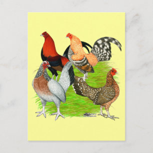Oud Engels Game Quartet Briefkaart