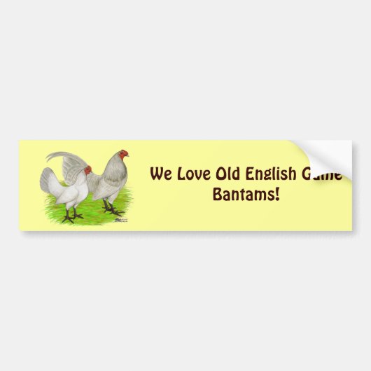 Oud Engels Game Self Blue Bumpersticker (Voorkant)