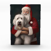 Oud Engels herdershond met sinterklaas feestelijk Fotoblokken (Voorkant)