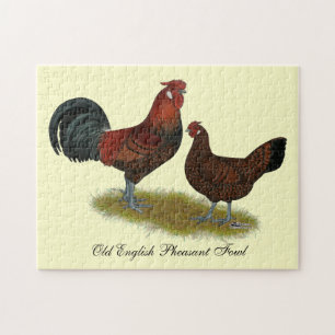 Oud Engels Pheasant Fowl Legpuzzel