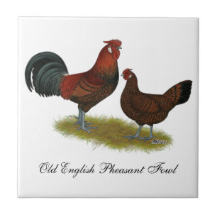 Oud Engels Pheasant Fowl Tegeltje