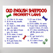 OUD ENGELS SCHEEPDOG PL2 POSTER (Voorkant)