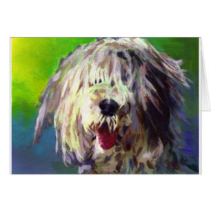 Oud Engels Sheep Dog