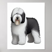 Oud Engels Sheepdog 10 Poster (Voorkant)