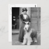 Oud Engels Sheepdog, 1915 Briefkaart (Voorkant / Achterkant)