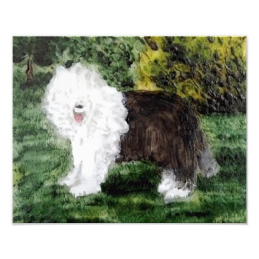 Oud Engels Sheepdog Art Foto Afdruk (Voorkant)