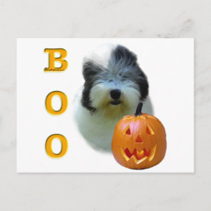Oud Engels Sheepdog Boo Briefkaart