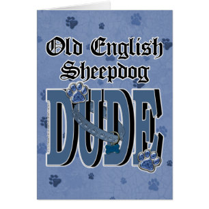 Oud Engels Sheepdog DUDE