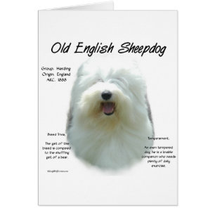 Oud Engels Sheepdog Geschiedenis Design