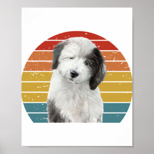 Oud Engels Sheepdog Gifts voor  Dulux Dog S Poster