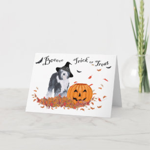 Oud Engels Sheepdog Halloween Kaart