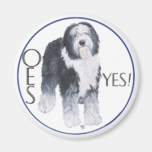 Oud Engels Sheepdog Head-onderzoek Magneet
