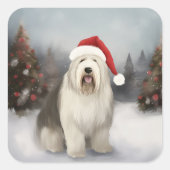Oud Engels Sheepdog in Sneeuw Kerstmis Vierkante Sticker (Voorkant)