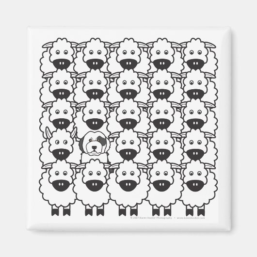 Oud Engels Sheepdog in the Sheep Magneet (Voorkant)