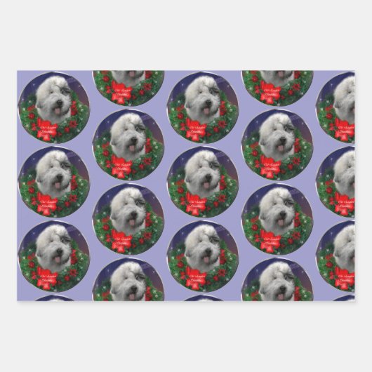 Oud Engels Sheepdog Inpakpapier Vel (Voorkant)