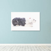 Oud Engels Sheepdog op witte achtergrond Canvas Afdruk (Insitu (Houten vloer))