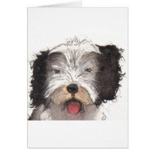 Oud Engels Sheepdog Puppy