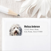 Oud Engels Sheepdog retour adres labels (Insitu)