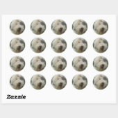 Oud Engels Sheepdog Ronde Sticker (Vel)
