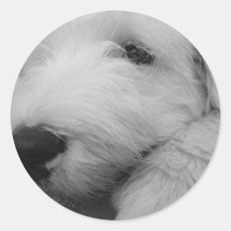 Oud Engels Sheepdog Ronde Sticker