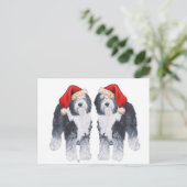 Oud Engels Sheepdog Santa Hat Feestdagenkaart (Staand voorkant)